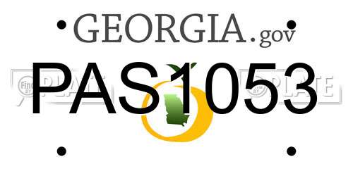 PAS1053 Georgia License Plate