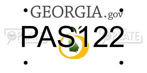 PAS122 Georgia License Plate