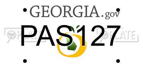 PAS127 Georgia License Plate