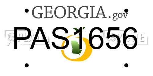 PAS1656 Georgia License Plate