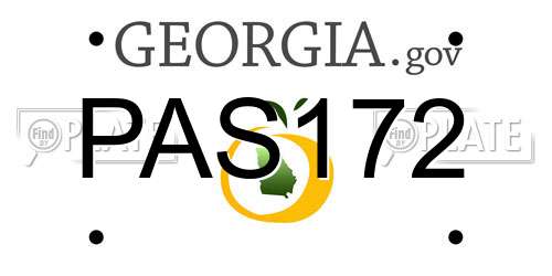 PAS172 Georgia License Plate