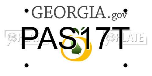 PAS17T Georgia License Plate