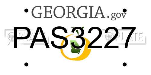 PAS3227 Georgia License Plate