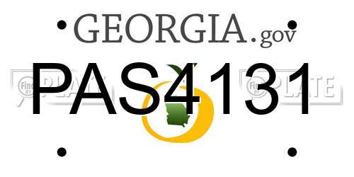 PAS4131 Georgia License Plate