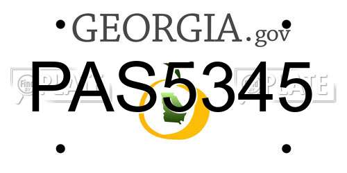 PAS5345 Georgia License Plate