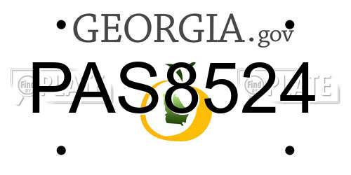 PAS8524 Georgia License Plate
