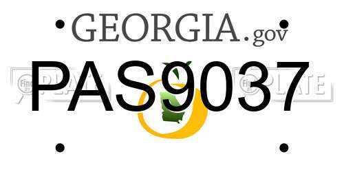 PAS9037 Georgia License Plate