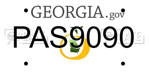 PAS9090 Georgia License Plate