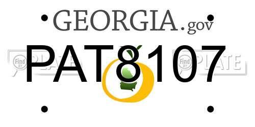 PAT8107 Georgia License Plate
