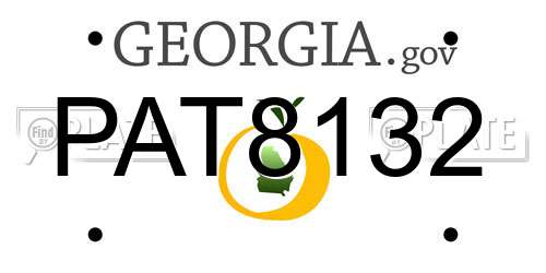 PAT8132 Georgia License Plate