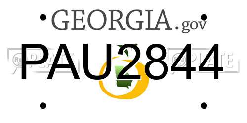 PAU2844 Georgia License Plate