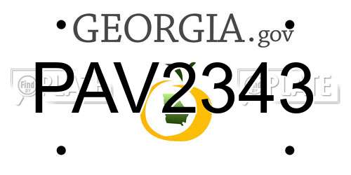 PAV2343 Georgia License Plate