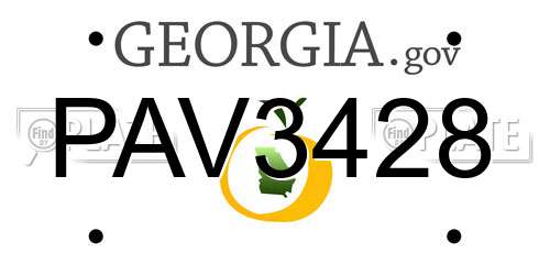 PAV3428 Georgia License Plate