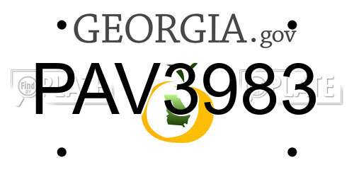 PAV3983 Georgia License Plate