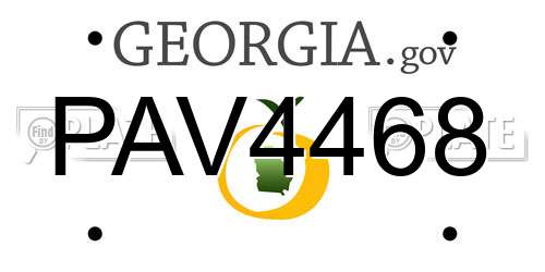 PAV4468 Georgia License Plate