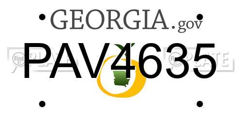 PAV4635 Georgia License Plate