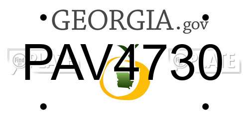 PAV4730 Georgia License Plate