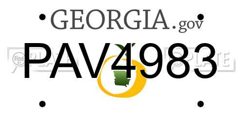 PAV4983 Georgia License Plate