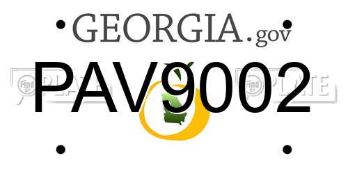 PAV9002 Georgia License Plate