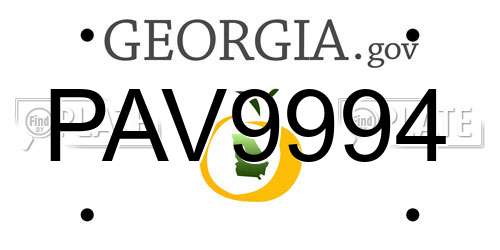 PAV9994 Georgia License Plate