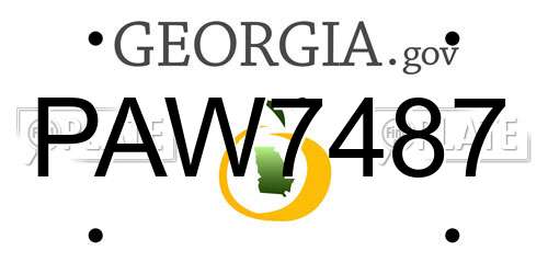 PAW7487 Georgia License Plate
