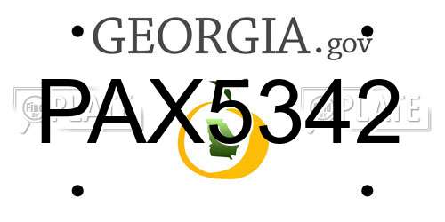 PAX5342 Georgia License Plate