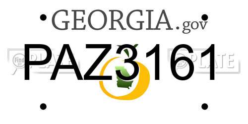 PAZ3161 Georgia License Plate