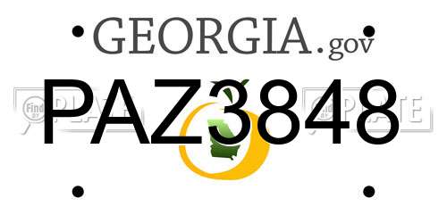 PAZ3848 Georgia License Plate