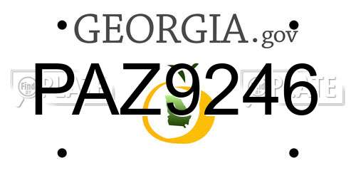 PAZ9246 Georgia License Plate