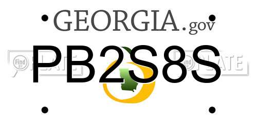 PB2S8S Georgia License Plate