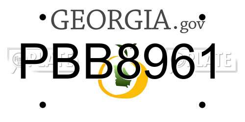 PBB8961 Georgia License Plate