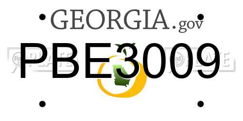 PBE3009 Georgia License Plate