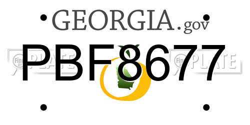 PBF8677 Georgia License Plate