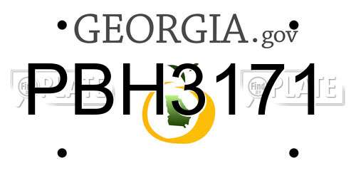 PBH3171 Georgia License Plate