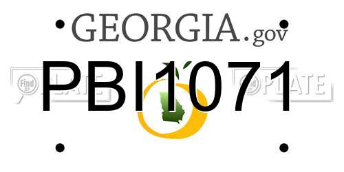 PBI1071 Georgia License Plate