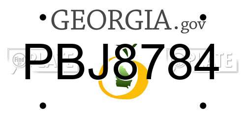 PBJ8784 Georgia License Plate