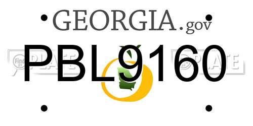 PBL9160 Georgia License Plate
