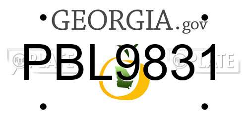 PBL9831 Georgia License Plate