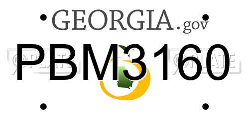 PBM3160 Georgia License Plate