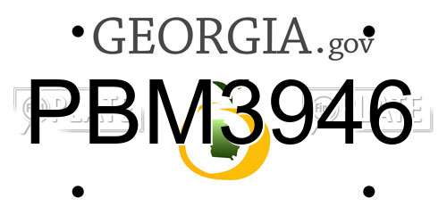 PBM3946 Georgia License Plate