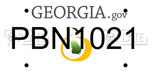 PBN1021 Georgia License Plate