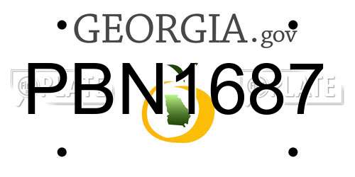 PBN1687 Georgia License Plate