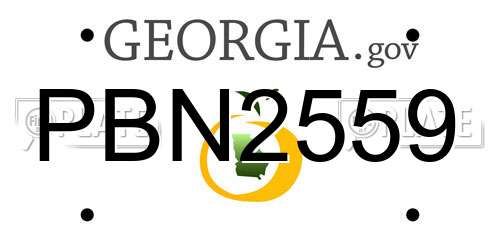 PBN2559 Georgia License Plate