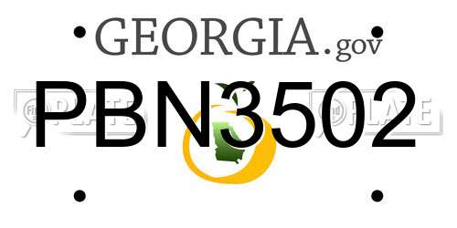 PBN3502 Georgia License Plate