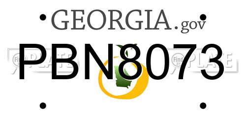 PBN8073 Georgia License Plate