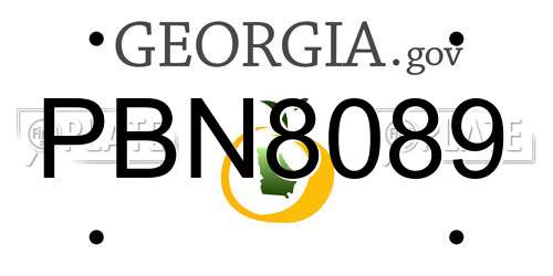 PBN8089 Georgia License Plate