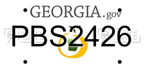 PBS2426 Georgia License Plate