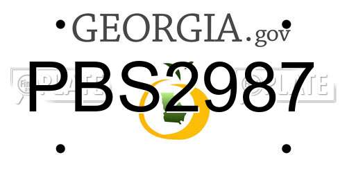 PBS2987 Georgia License Plate
