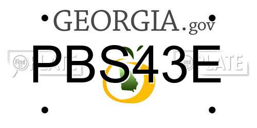 PBS43E Georgia License Plate