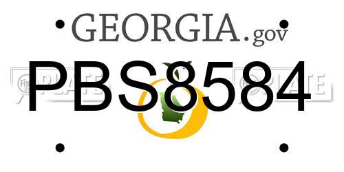 PBS8584 Georgia License Plate